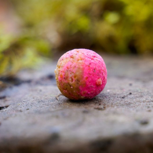 Carp Corner Wafters 25mm Cremig