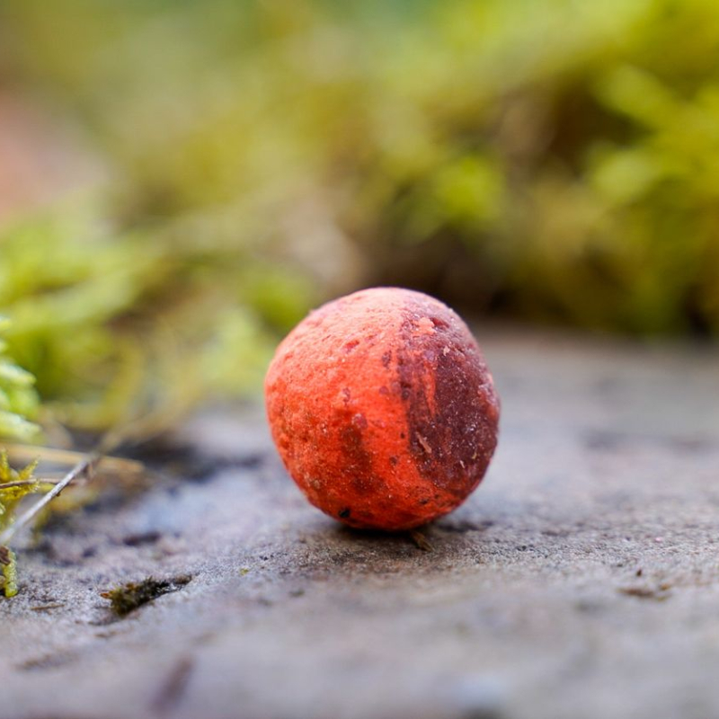 Carp Corner Wafters 25mm Tuna