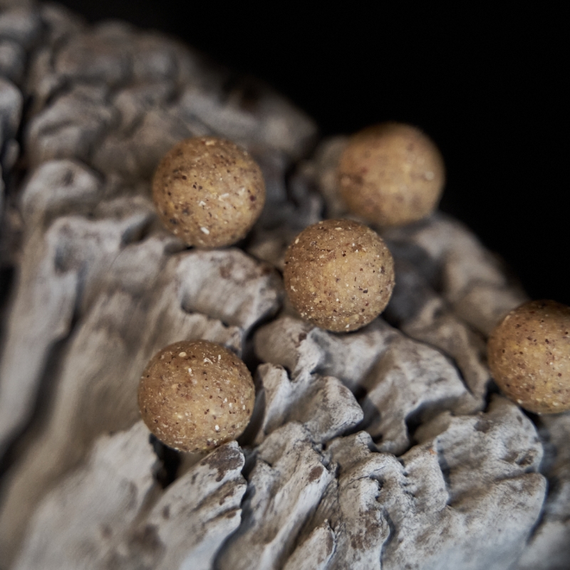 Futterboilie Banane-Cocos