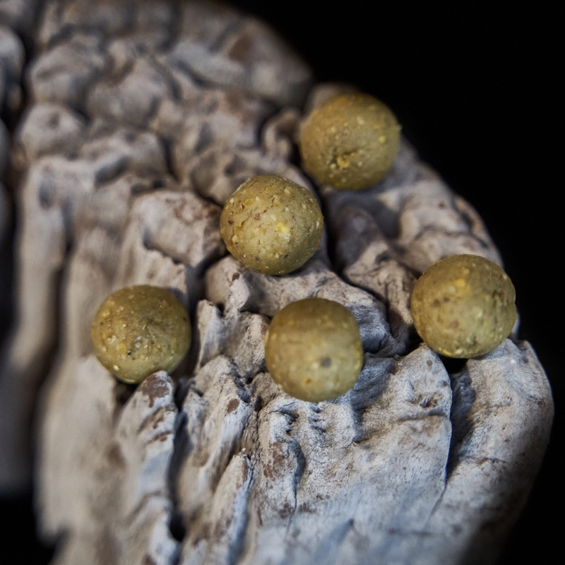 Berry Scope Spirulina