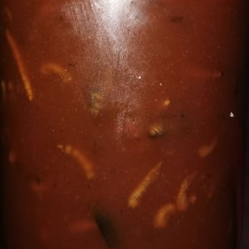 Mussel/Insekt Amino Liquid 250ml