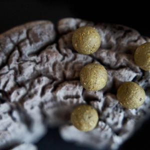 Berry Scope Spirulina