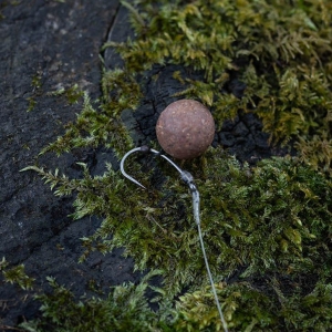 Avid Carp Amorok Hooks curve